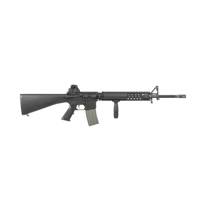 M16-RIS - 2020 version ARES