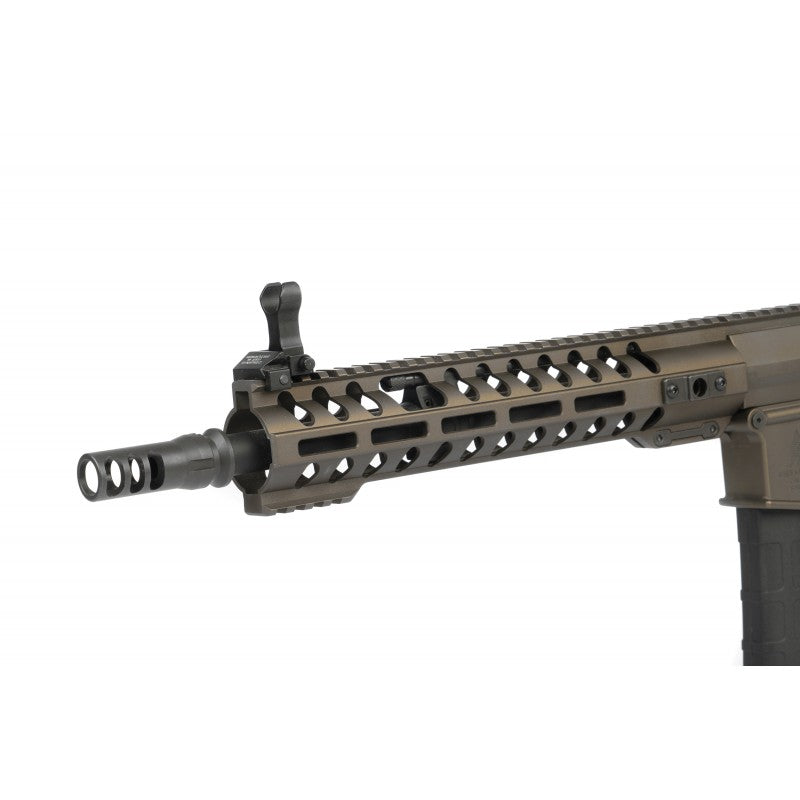 AR308M ARES