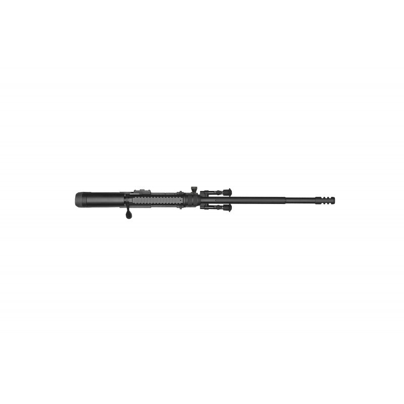MSR-WR ARES